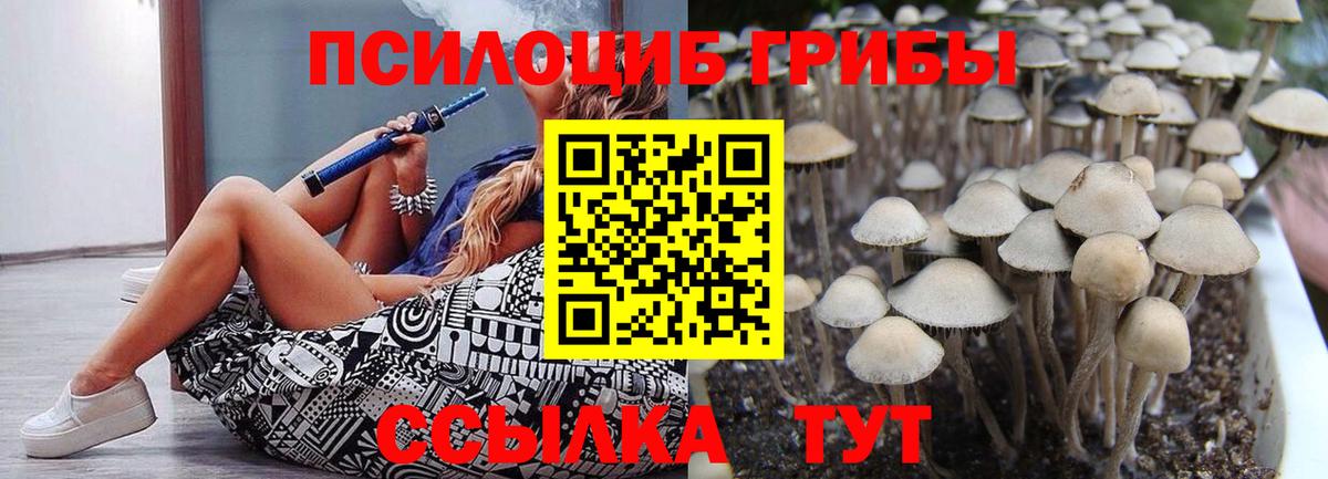 Галлюциногенные грибы Magic Shrooms Радужный
