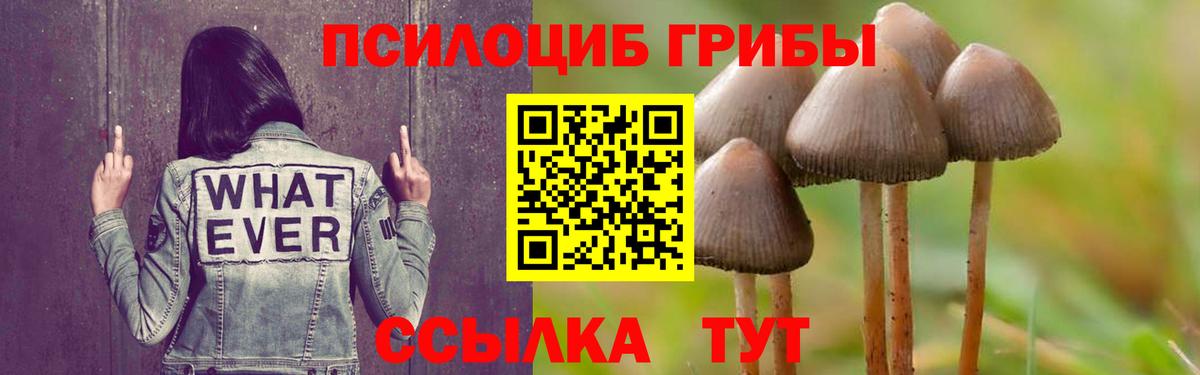 Псилоцибиновые грибы ЛСД  Псилоцибиновые грибы Cubensis  Вход с VPN  Радужный 